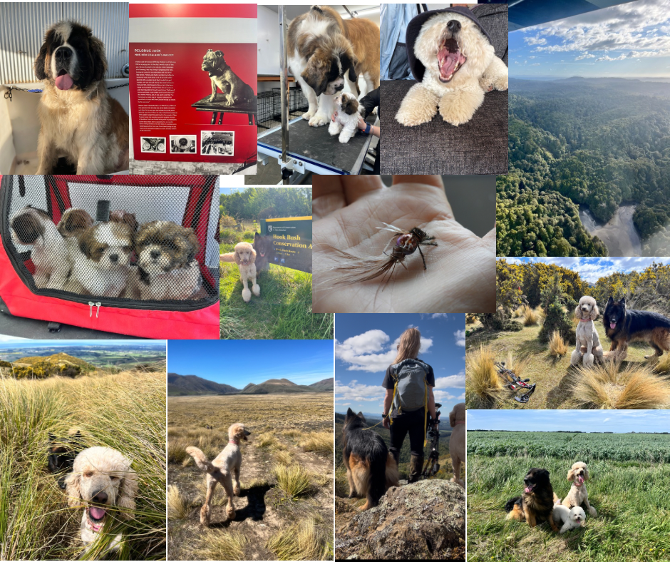 Issue #2 October 2025